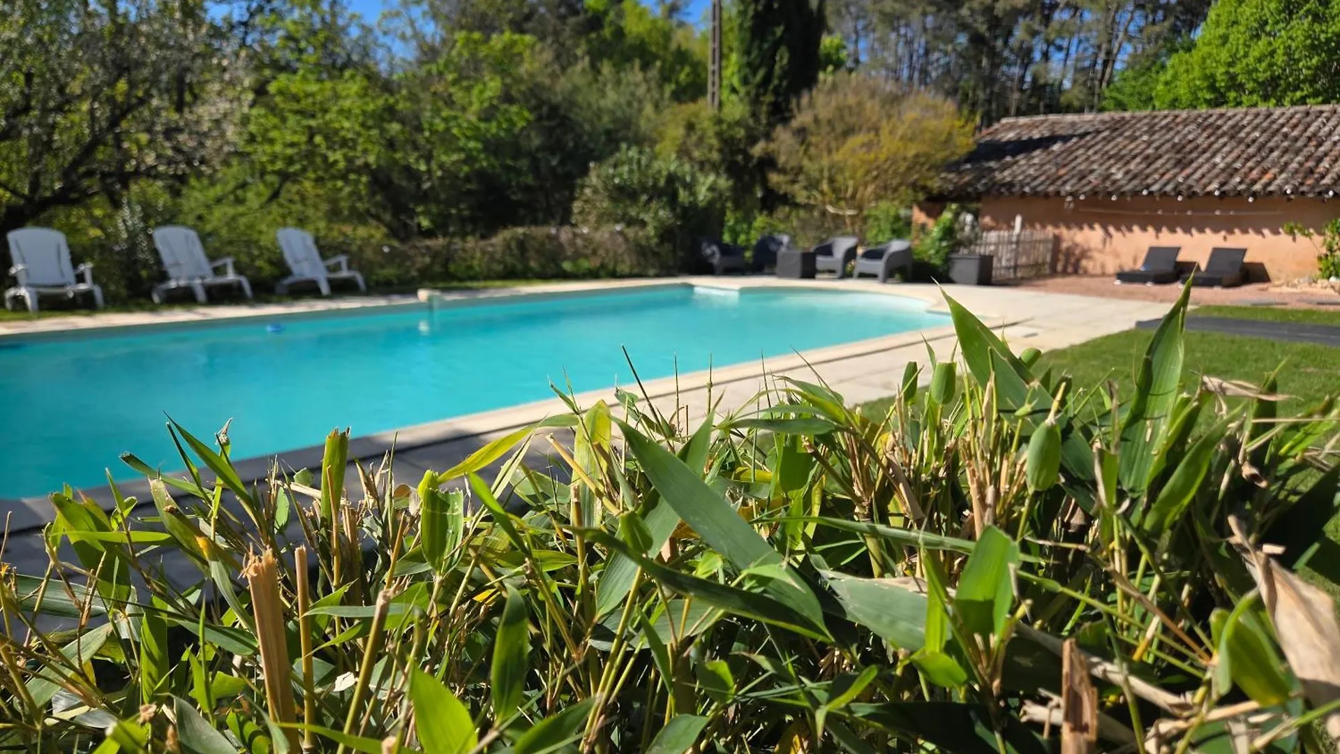 Σπίτι διακοπών - Ancien Chai 6 Pers - Vignobles - Nature - Piscine - Les Hauts De La Rameyo - Gaillac