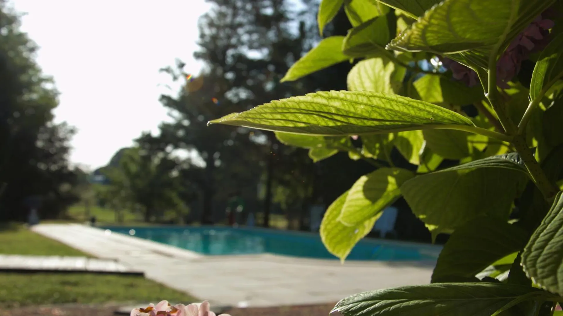 - Ancien Chai 6 Pers - Vignobles - Nature - Piscine - Les Hauts De La Rameyo - Gaillac Σπίτι διακοπών
