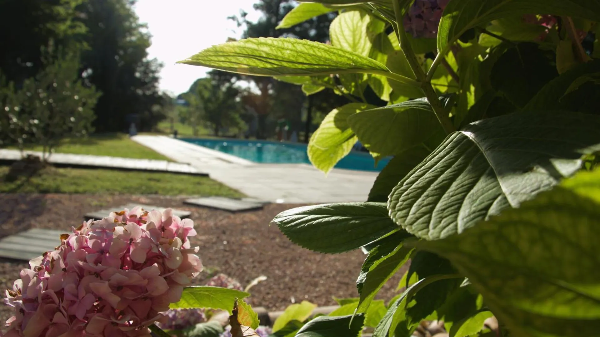- Ancien Chai 6 Pers - Vignobles - Nature - Piscine - Les Hauts De La Rameyo - Gaillac