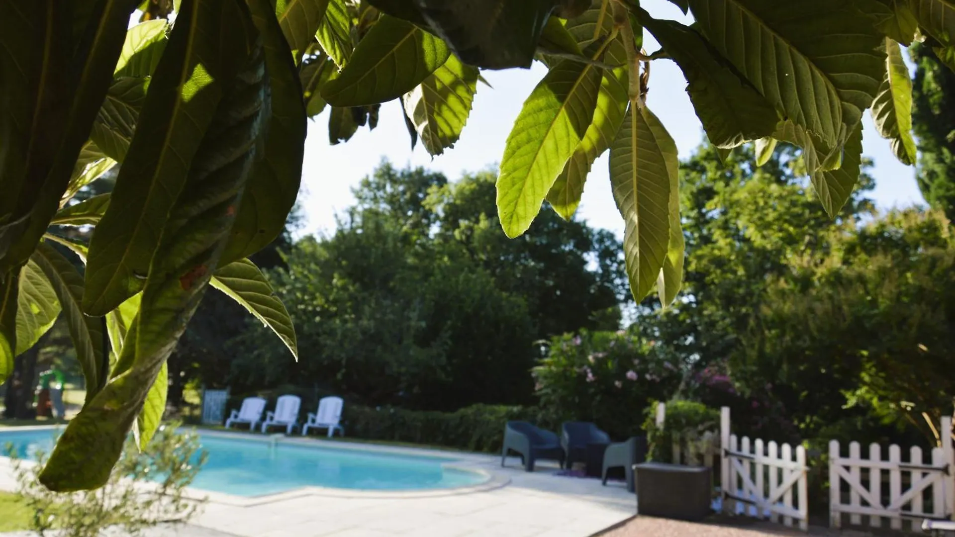 - Ancien Chai 6 Pers - Vignobles - Nature - Piscine - Les Hauts De La Rameyo - Gaillac Γαλλία