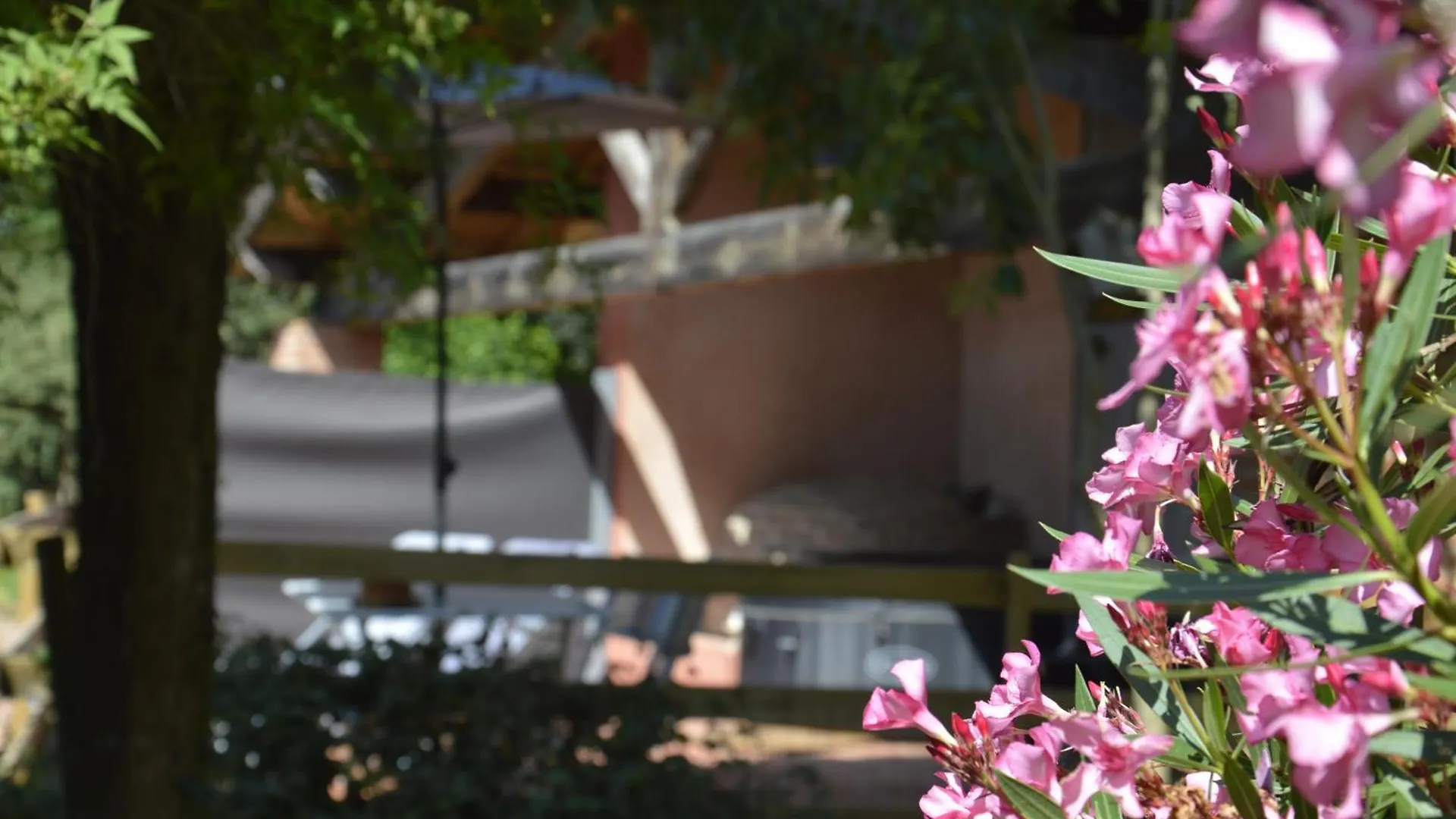 Σπίτι διακοπών - Ancien Chai 6 Pers - Vignobles - Nature - Piscine - Les Hauts De La Rameyo - Gaillac