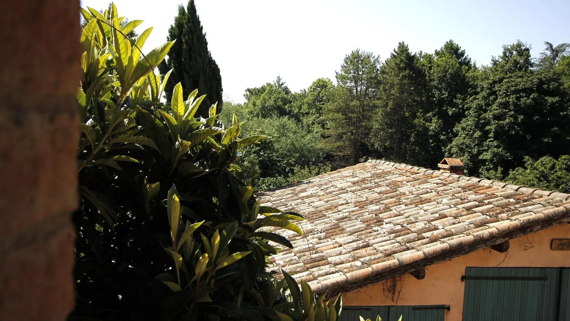 - Ancien Chai 6 Pers - Vignobles - Nature - Piscine - Les Hauts De La Rameyo - Gaillac Σπίτι διακοπών